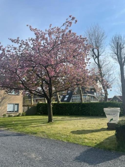 Holidayhome Zonnestraal 9P Amsterdam And The Beach Херхюговард Экстерьер фото